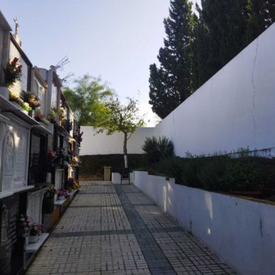 jardineria cementerio fin 7