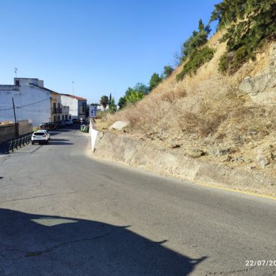 jardineria escalones 2