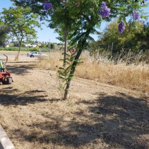 jardineria junio trabajador