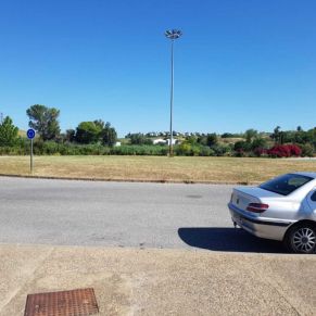 jardineria junio vimpika 2