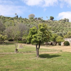 jardineria pandero 2