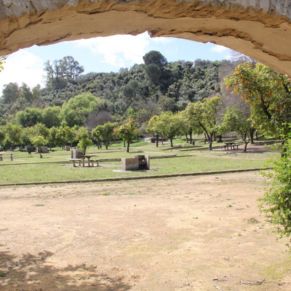 jardineria pandero 3