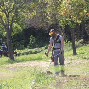 jardineria pandero trabajador