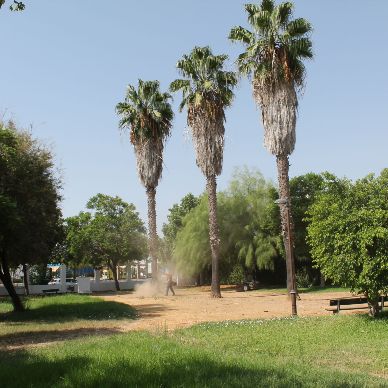 jardineria parque crecreo condesa 2