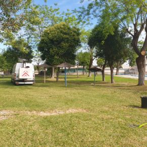 jardineria piscina polideportivo 2