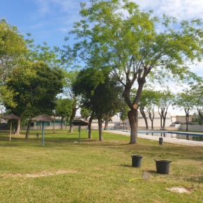 jardineria piscina polideportivo