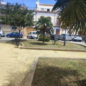 jardineria plaza joselito 2