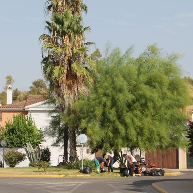 jardineria rotonda recreo condesa