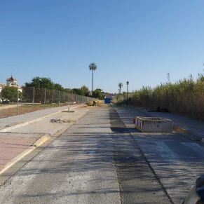 jardineria simon verde 1