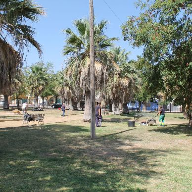 jardines guadalquivir parque 1