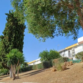 limpieza solar calle ciaurriz 1-8-24 2