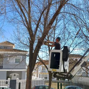 manatiales 22 enero 24-2