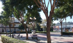 terraplén barrionuevo 1w