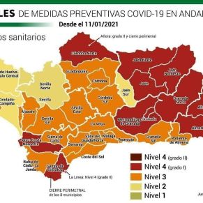niveles covid 11 enero andalucia
