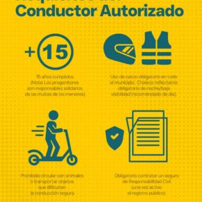 ordenanza patinetes electricos gelves 2026 (7)