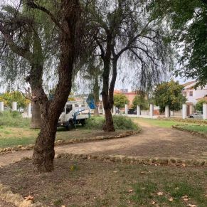 parque andalucia gelves poda