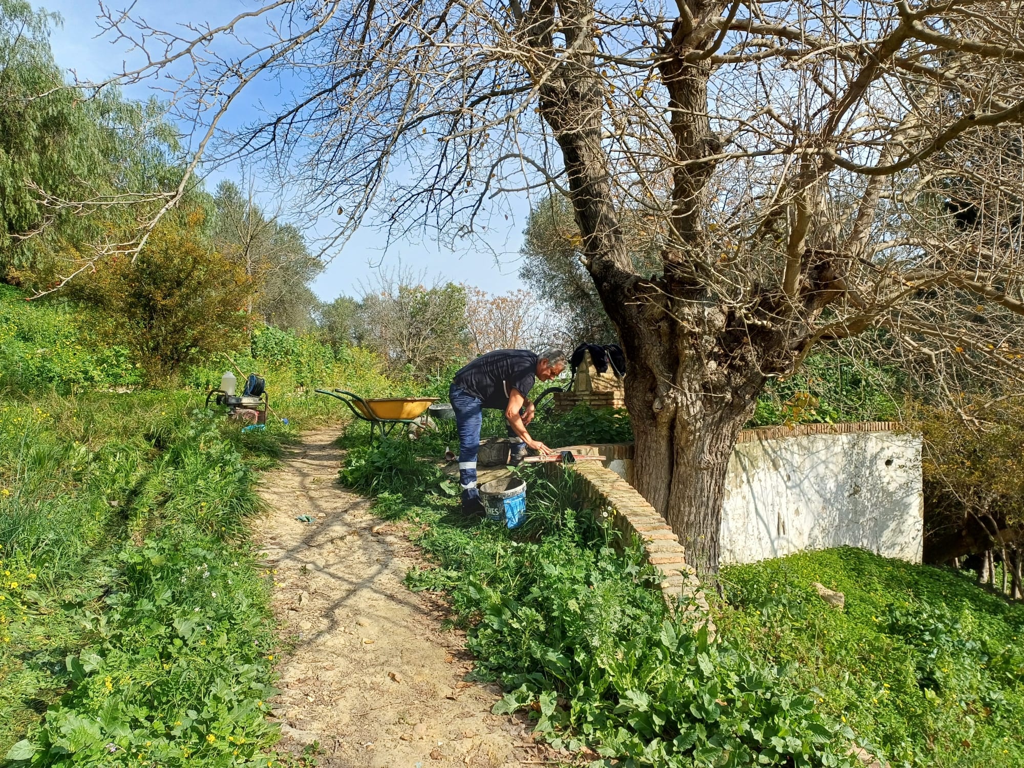 parque cañuelo albañileria - 5