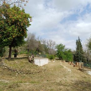 parque cañuelo jardineria marzo 24 -3