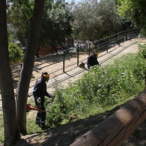 parque manantiales 1