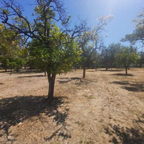 parque pandero final 3