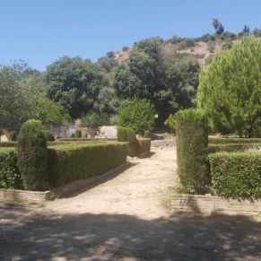 parque pandero final