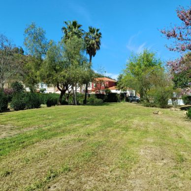 parque pandero jardineria 4