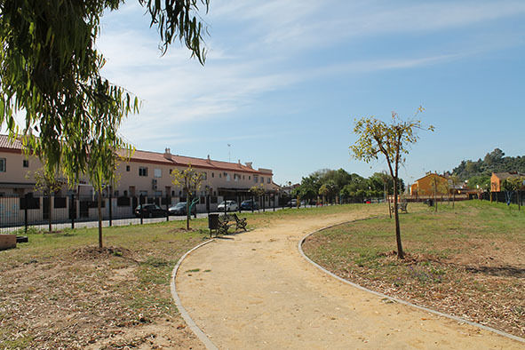 plantacion de naranjos