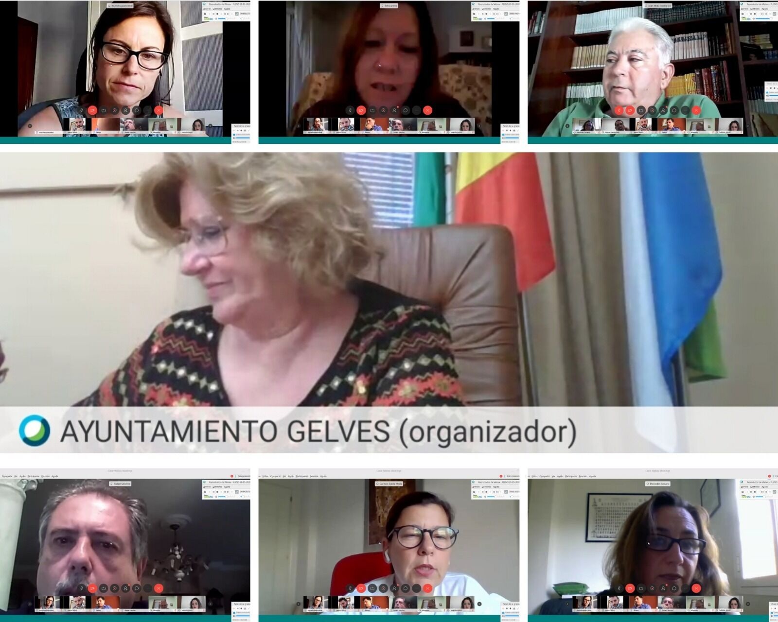 pleno online 29 mayo