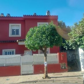 poda calles gelves 3