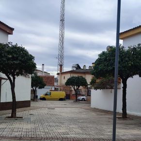 poda maestranza naranjos ok 3