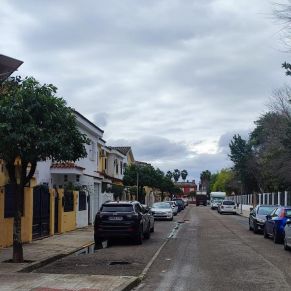 poda maestranza naranjos ok 4