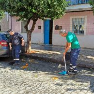 recogida naranjas feb 24 - 1