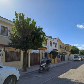 recogida naranjas feb 24 - b5