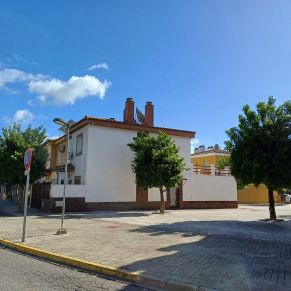 recogida naranjas feb 24 - b6