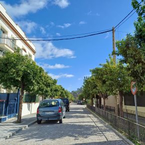 recogida naranjas feb 24 - calle del rio