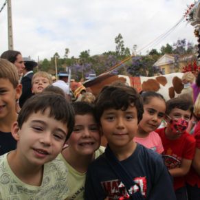 rocio gelves rosa fdez