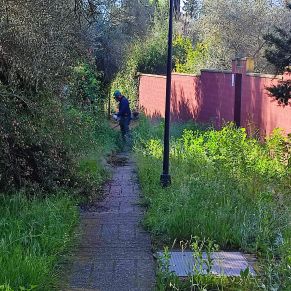 senda simon verde 2 - a