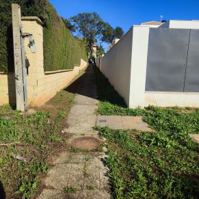 senda simon verde 2 - b