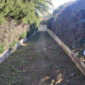 senda simon verde 2 - d