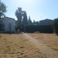 sendas simon verde 4