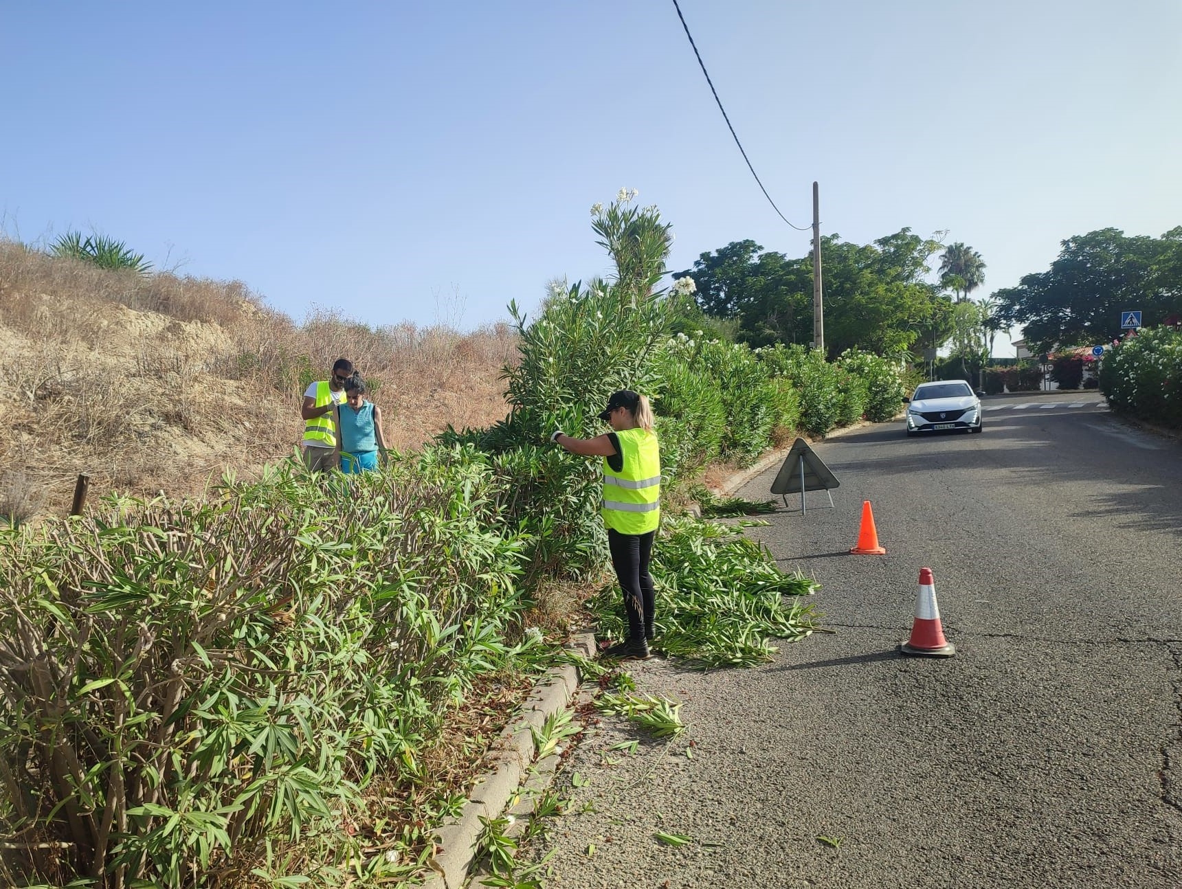setos subida a simonverde