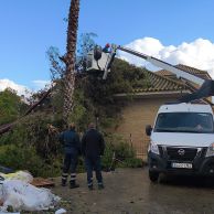 temporal 2 febrero 26 placas solares