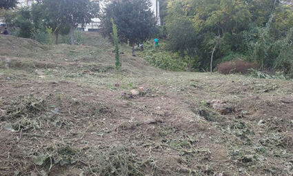 terraplén barrionuevo 1w