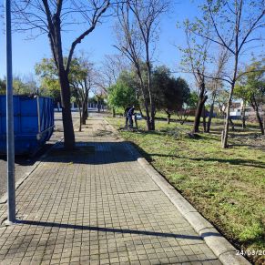 varios arreglos 24 marzo 2025 4