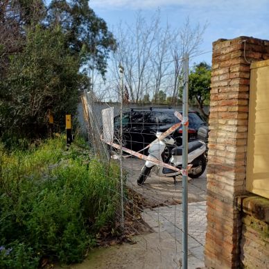 visita alcaldesa puerto gelves 19 marzo 25 9