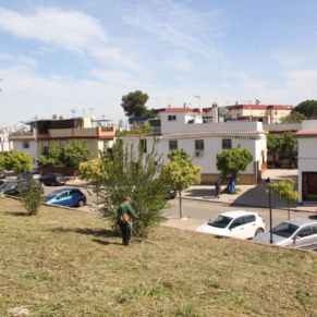 zona verde algarrobo