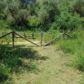 jardineria 11 mayo 4