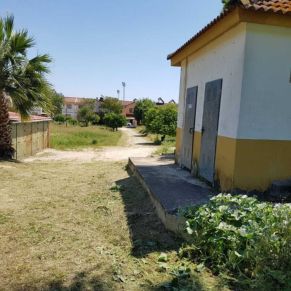 jardineria 11 mayo 6